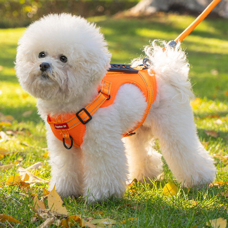 Hundegeschirr Bequem Nylon Schwarz - Norvielle