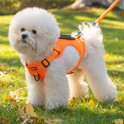 Hundegeschirr Bequem Nylon Schwarz - Norvielle
