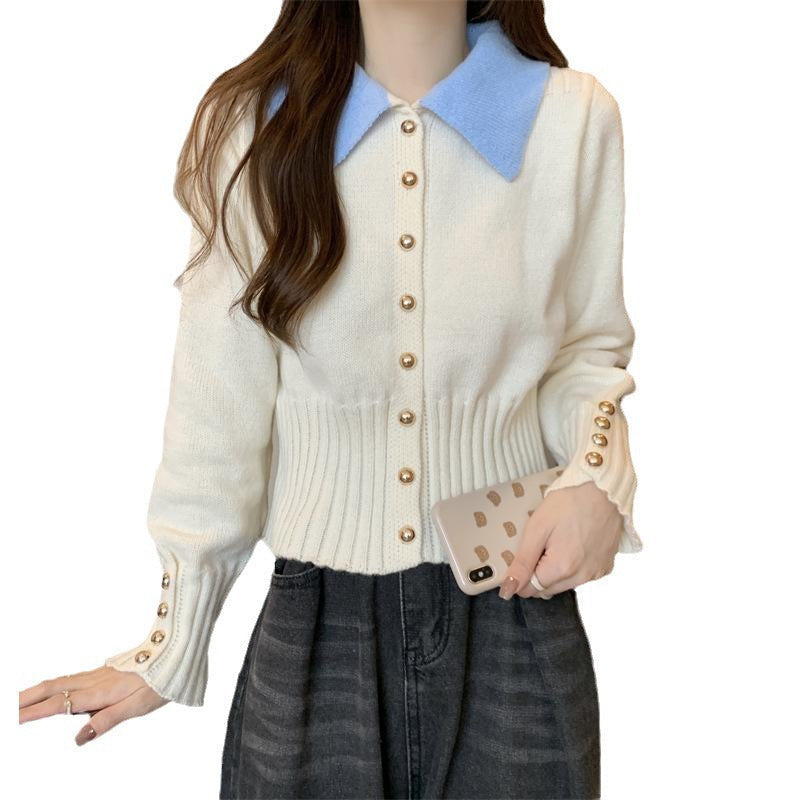 Damen Strickpullover Eleganter Kragen Knopfdetails Norvielle