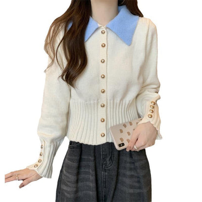 Damen Strickpullover Eleganter Kragen Knopfdetails Norvielle