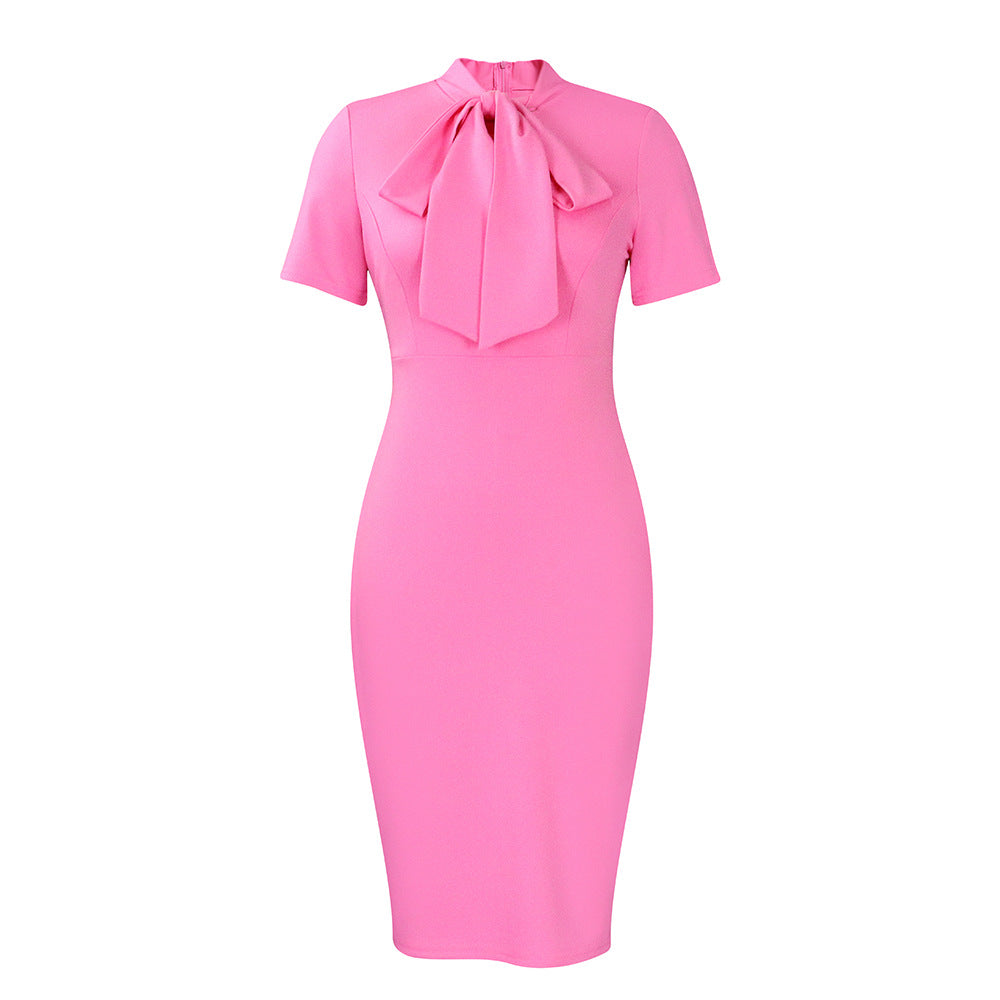 Damen Kleid Figurbetont Hochgeschlossener Kragen