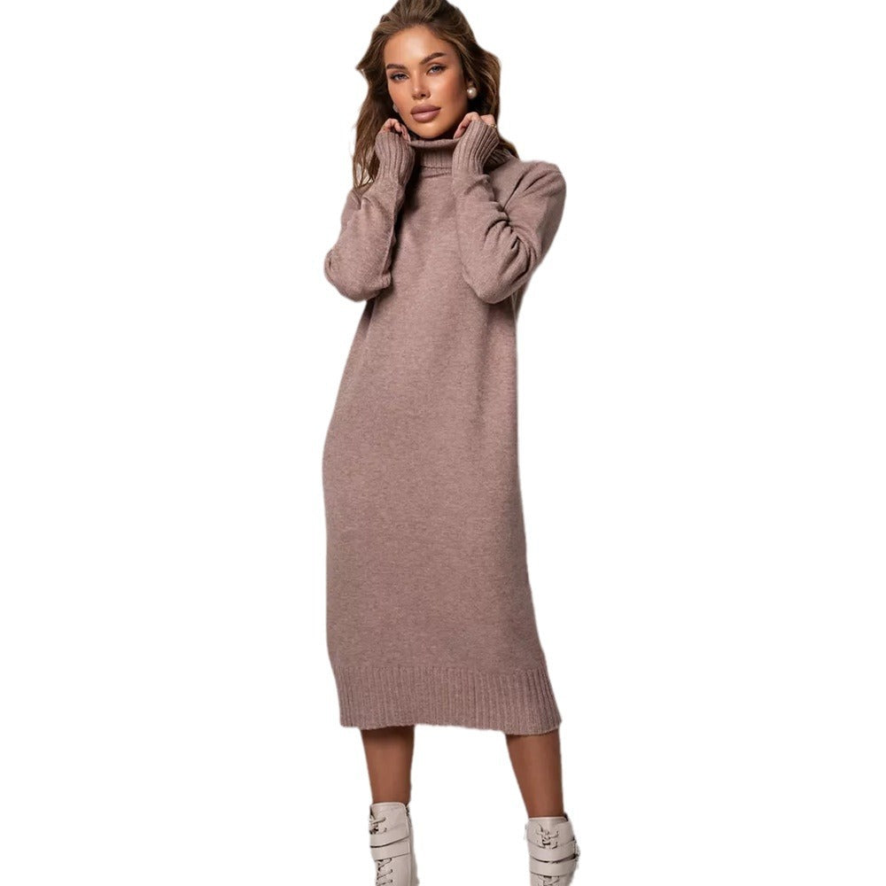 Damen Strickkleid Rollkragen Lässiger Schnitt Norvielle