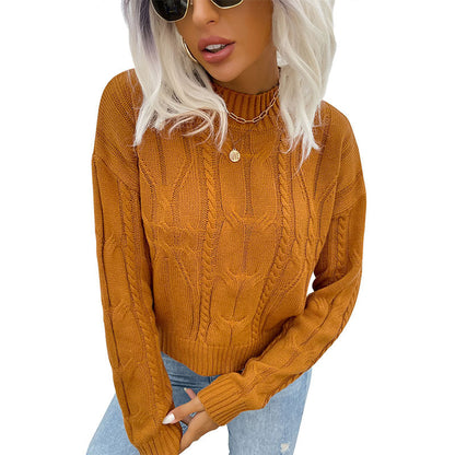 Damen Strickpullover Zopfmuster Hochkragen Norvielle