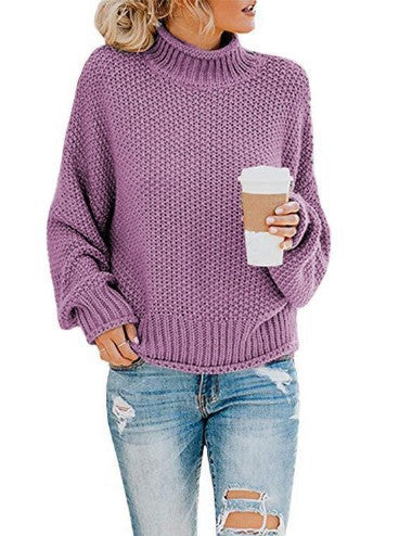 Damen Rollkragenpullover Grobgestrickt Lässiger Schnitt Norvielle