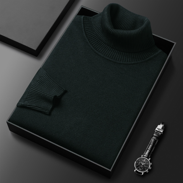 Herren Rollkragenpullover Lässig Frühjahr