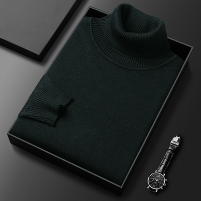 Herren Rollkragenpullover Lässig Frühjahr