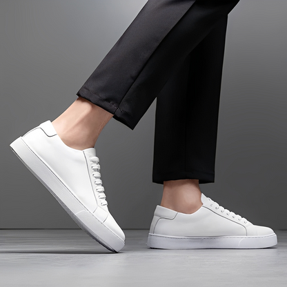 Herrenschuhe Leder