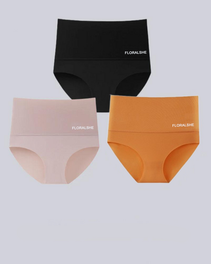 Damen Slips Hoch Taille 5er Pack Bauchkontrolle