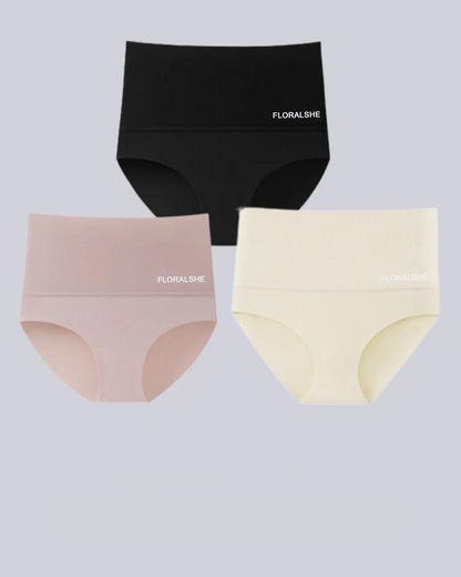 Damen Slips Hoch Taille 5er Pack Bauchkontrolle