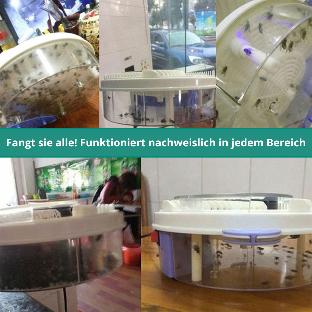 Fliegenfalle Effektiv Insektenschutz Für Zuhause