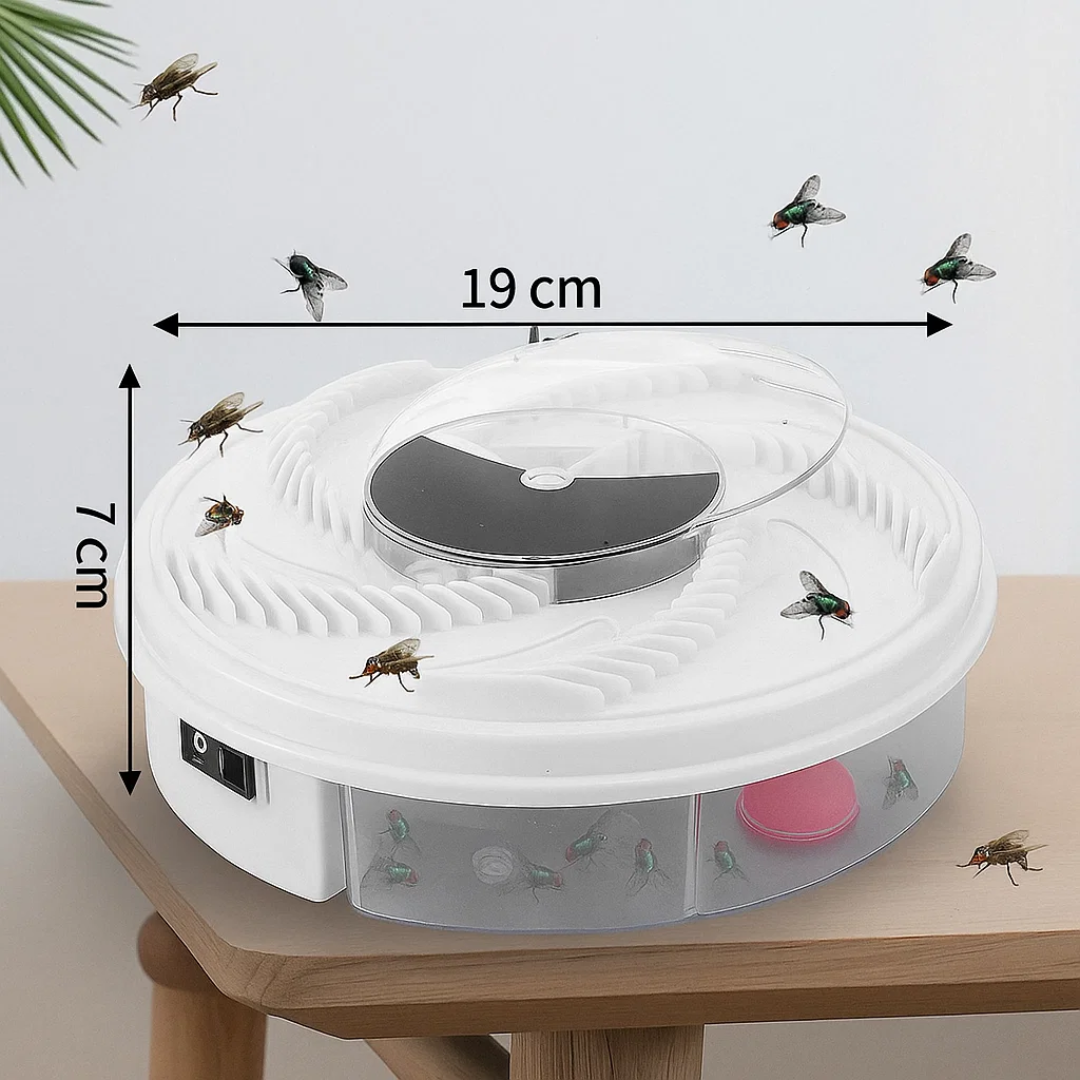 Fliegenfalle Effektiv Insektenschutz Für Zuhause