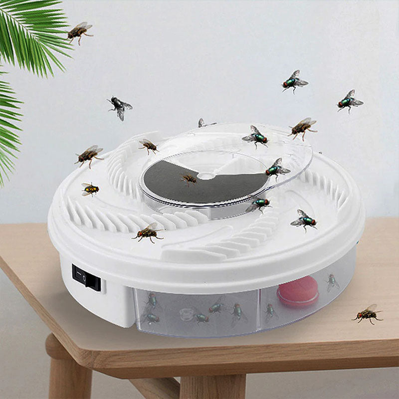 Fliegenfalle Effektiv Insektenschutz Für Zuhause - Norvielle