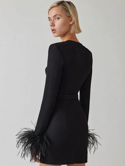 Damen Minikleid Federdetails Elegant