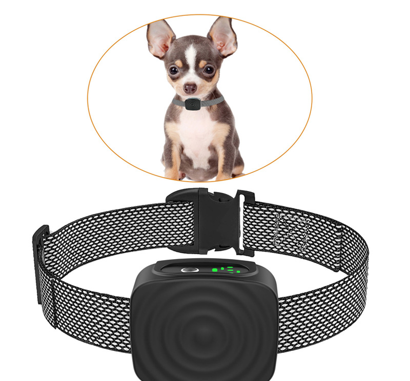 Halsband für kleine Hunde, Anti-Bell-Trainingshilfe