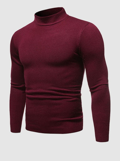 Herren Slim-Fit Rollkragenpullover Frühling Alexander