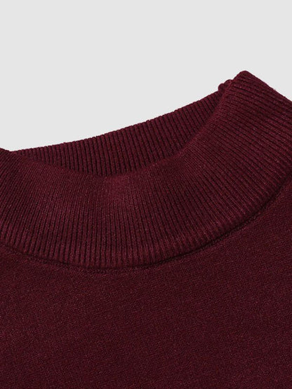 Herren Slim-Fit Rollkragenpullover Frühling Alexander