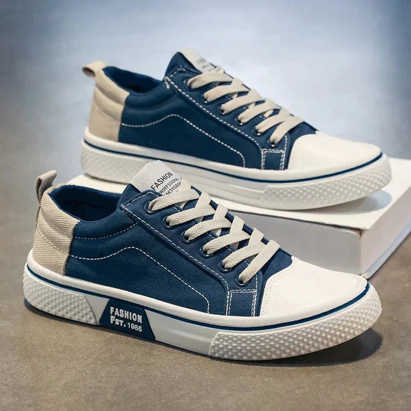 Herren Canvas Sneaker Low- Schnürung - Norvielle