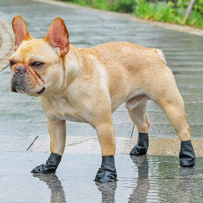 Hundeschuhe Wasserdicht Mit Griff Schutzkomfort