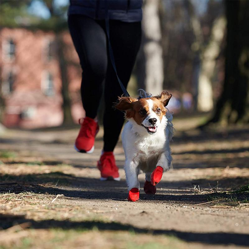 Hundeschuhe Wasserdicht Mit Griff Schutzkomfort