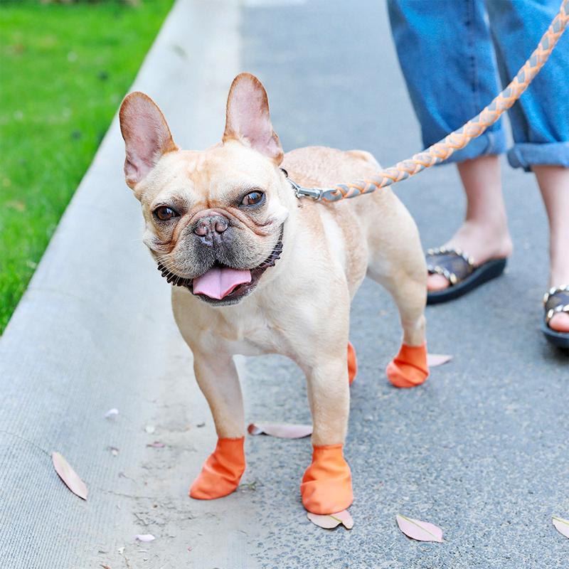 Hundeschuhe Wasserdicht Mit Griff Schutzkomfort