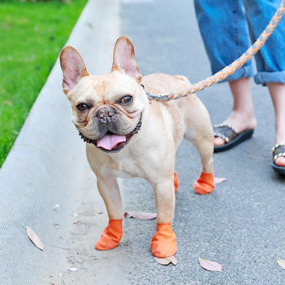 Hundeschuhe Wasserdicht Mit Griff Schutzkomfort
