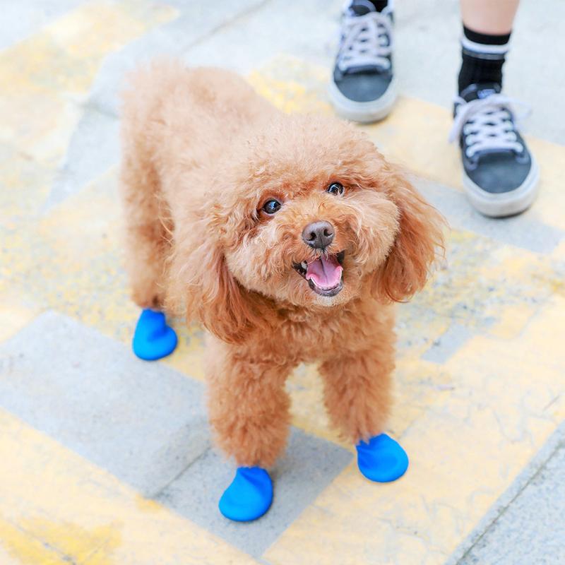 Hundeschuhe Wasserdicht Mit Griff Schutzkomfort
