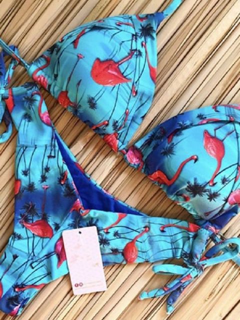 Norvielle Damen Bikini Push-Up