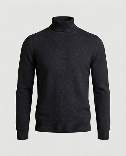 Feine Merinowolle Rollkragenpullover