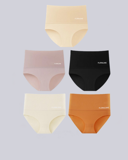 Damen Slips Hoch Taille 5er Pack Bauchkontrolle