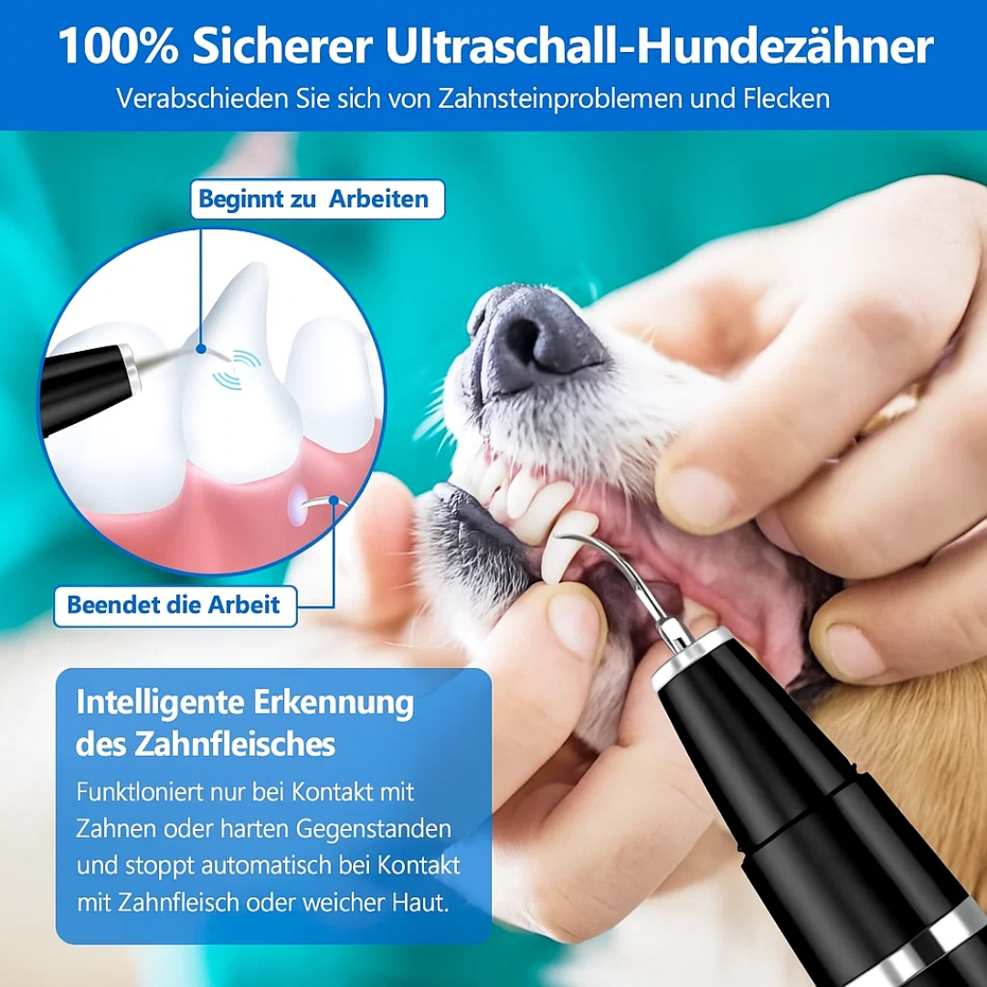 Zahnreiniger für Hund und Katze Zahnpflege Plaque Entferner